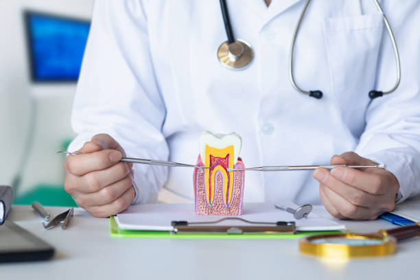 Best Urgent Tooth Repair  in Park Hill, OK
